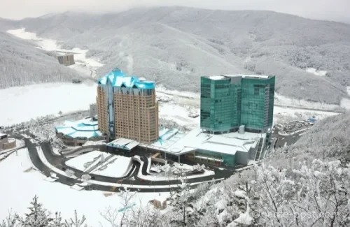 강원랜드 콤프