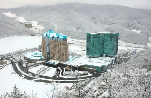 강원랜드 콤프